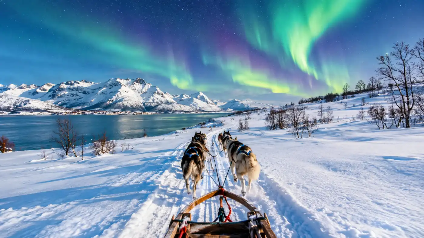 Northern Lights Dog Sledding in Tromso