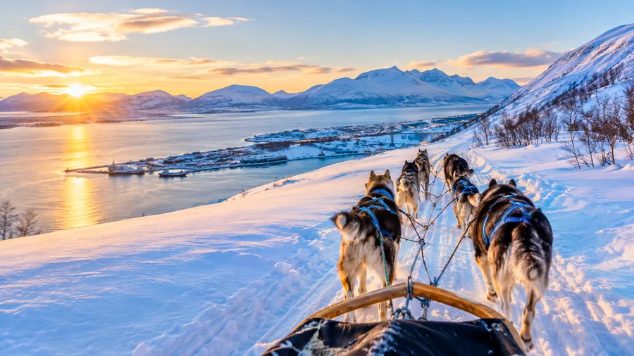 Overnight and Advanced Dog Sledding in Tromso
