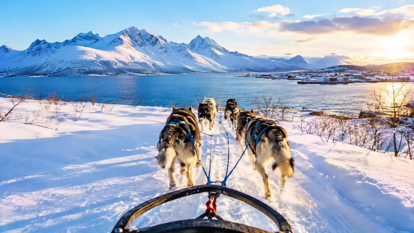 Overnight and Advanced Dog Sledding in Tromso